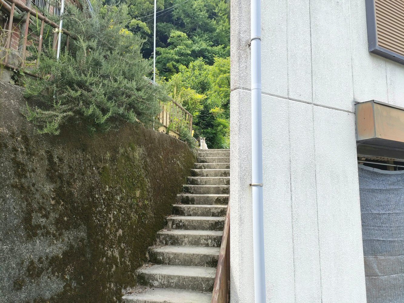 IMG20250523132504