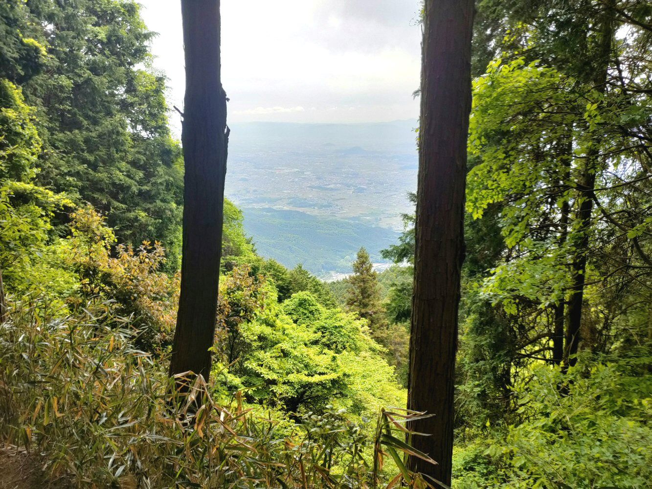 IMG20250516114038
