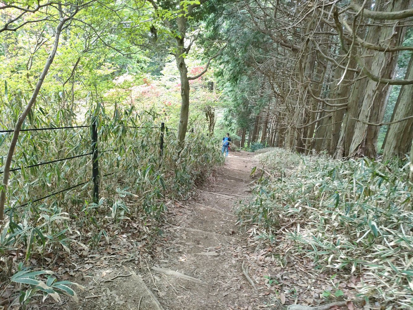 IMG20250516102242