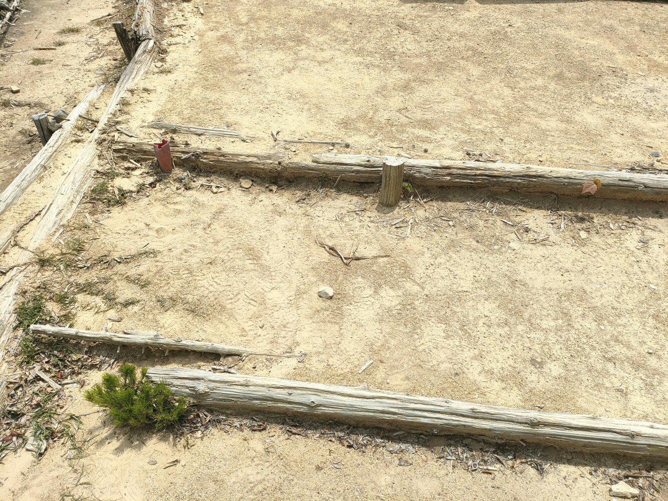 IMG20240608130137