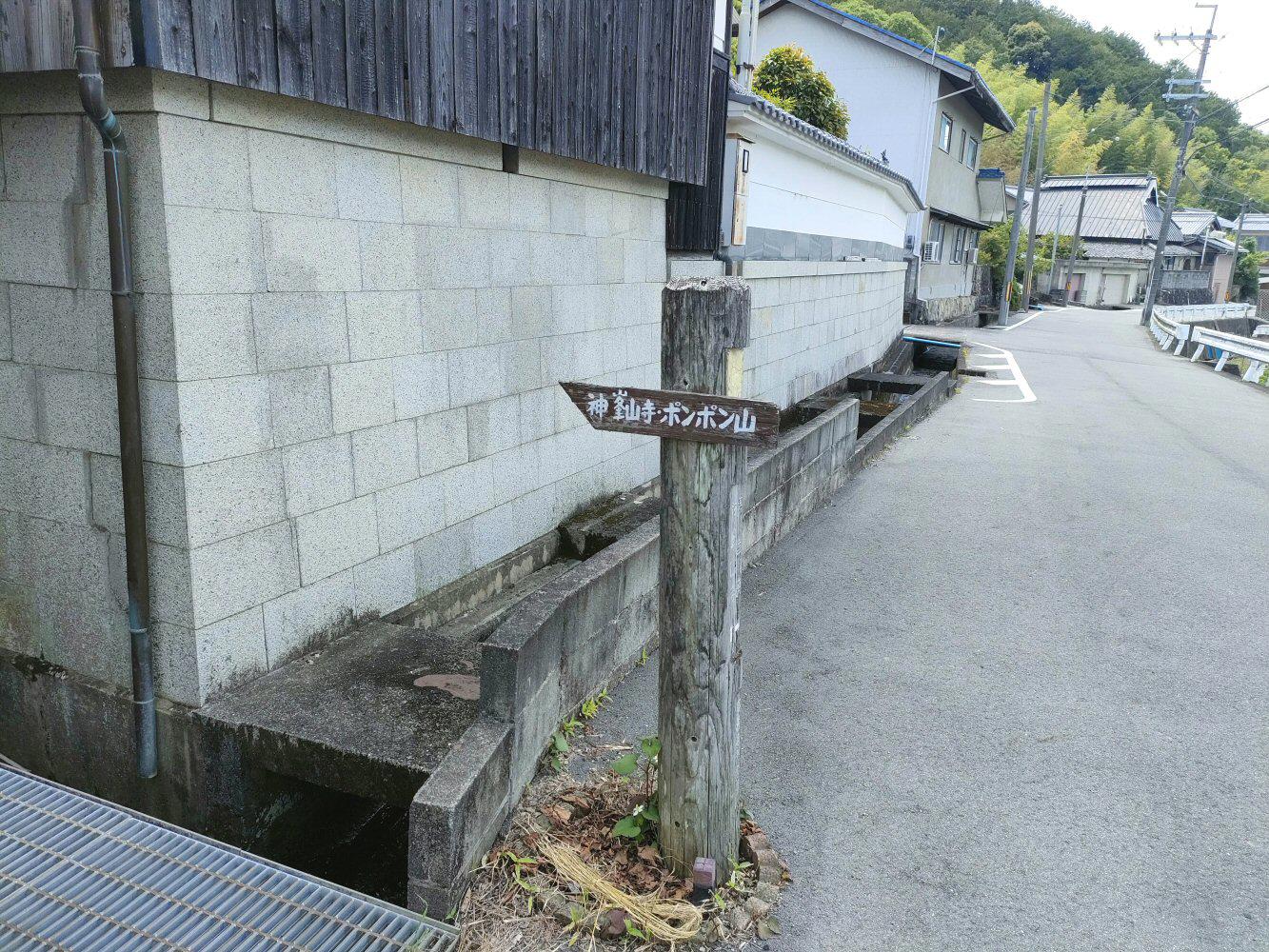 IMG20240608110216