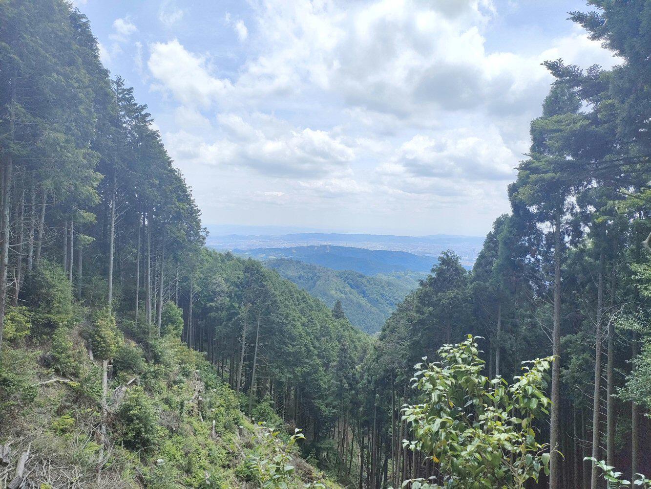 IMG20240608120555