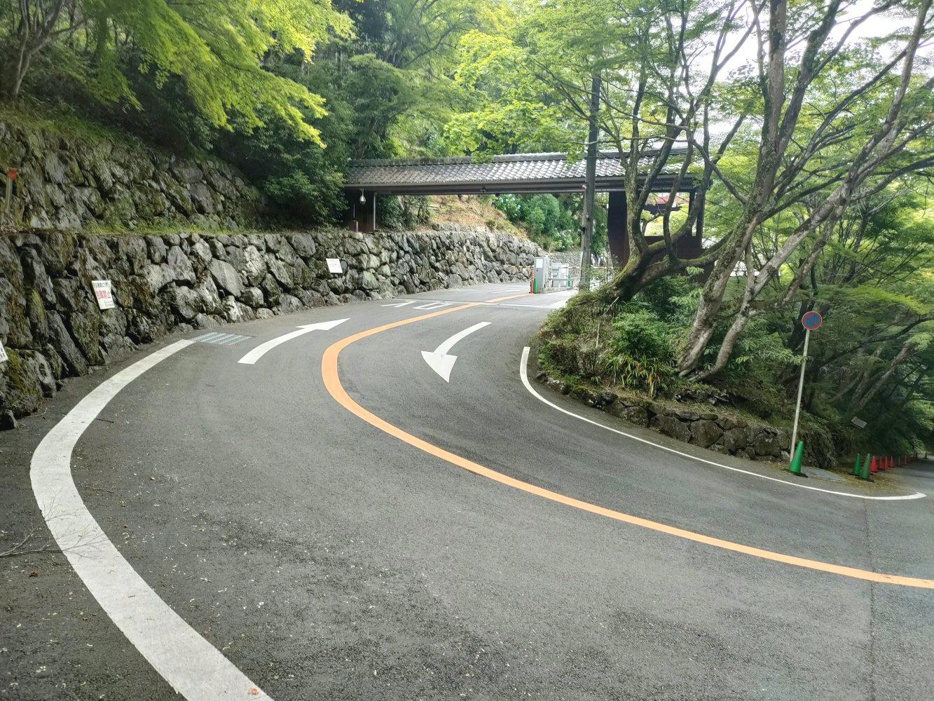IMG20240608141201