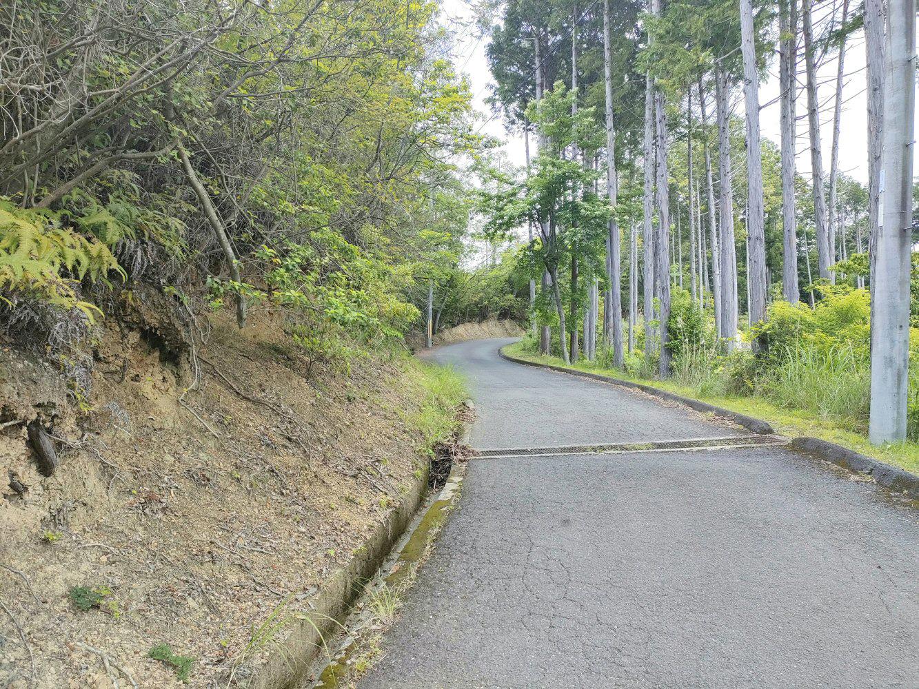 IMG20240608112129